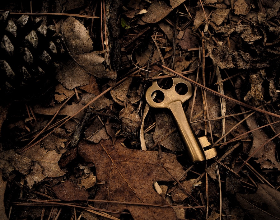 A key which unlocks the soul of the modern renaissance polymath